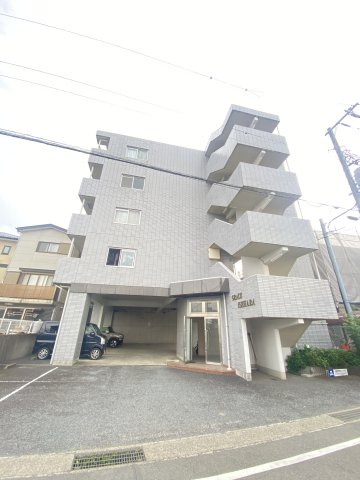 グレイスイセハラ