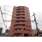 シェーンブルン宮の森の画像