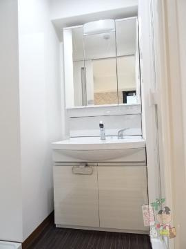 リッツ・ドエルマンションの洗面所|洗面