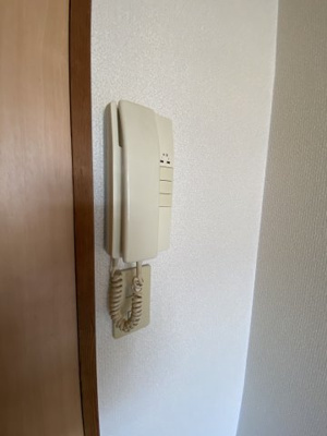  | ドルフィン那珂川