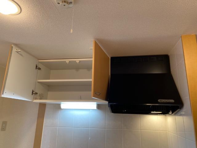リトル　ビーチ　　刈谷市近郊の賃貸はクラスホームの収納|キッチン