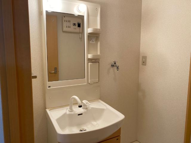 リトル　ビーチ　　刈谷市近郊の賃貸はクラスホームの洗面所|洗面