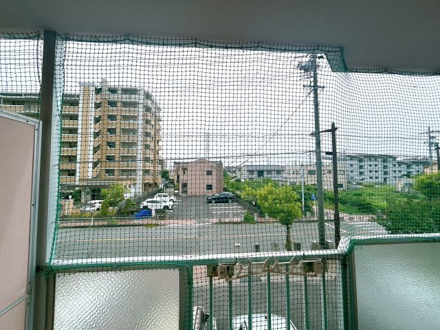レイク東郷の展望