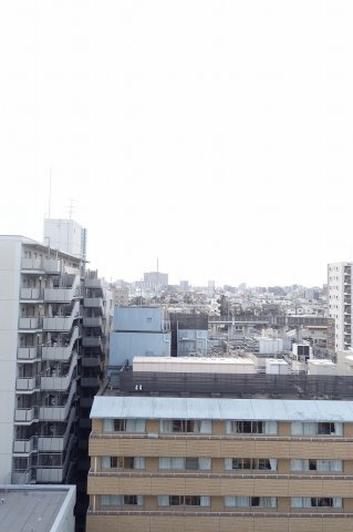 アールジェイアールプレシア東十条ガーデンの展望