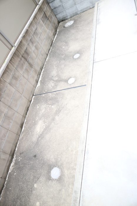 ウィット塩屋の庭