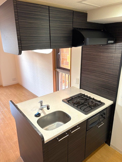 ◆角住戸の１Ｋ◆防犯カメラ＆オートロック付きの設備充実◆プレサンス京都四条河原町ネクステージのキッチン|キッチン