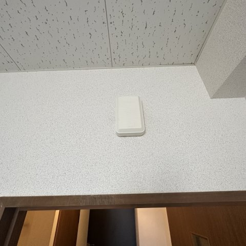 Ｅ．Ｓアベニュー　ヒラノアパートメントのセキュリティ