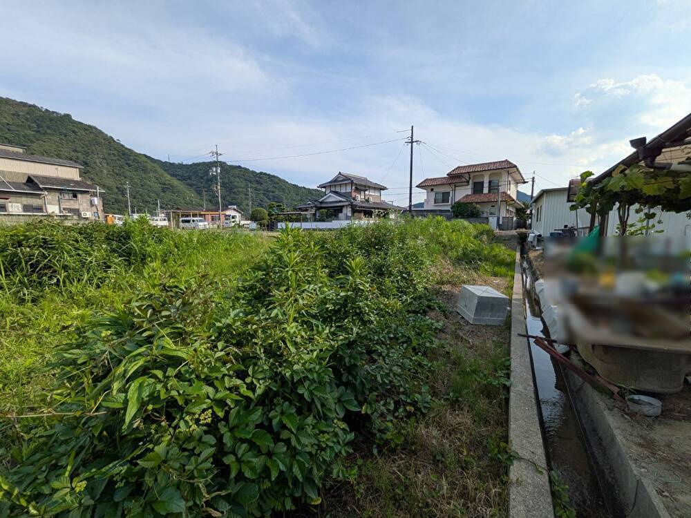 岡山市北区御津宇垣　中古住宅のその他|現地（2026年6月）撮影
◆使用貸借可能な畑です。