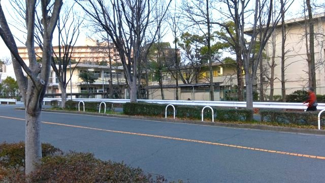 高野台3丁目貸し戸建の周辺|高野台中学校