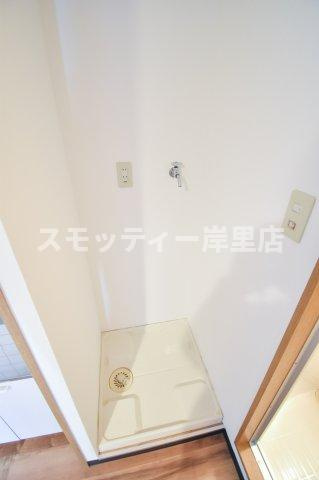 ピロスカーホ・オトワのその他
