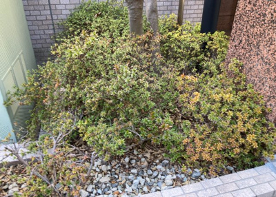 【庭】 | キャッスルマンション相模が丘 | 物件によっては、入居者が個人的に使用できる専用庭がついているものもあります。また、住宅の中にある土間の部分を庭と呼ぶこともあります。庭の用途は住む人によって変わり、それによってデザインもさまざまです。