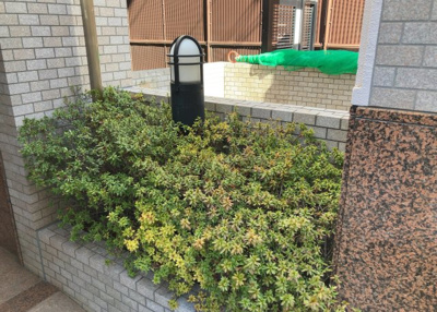 【庭】 | キャッスルマンション相模が丘 | 中庭（パティオ）とは、一つの建築物の内部に設けられた、壁などで囲われている庭のことを指します。コの字型、ロの字型が主流ですが、L字型の中庭もあります。最近では、インテリア性の高さからも人気があります。