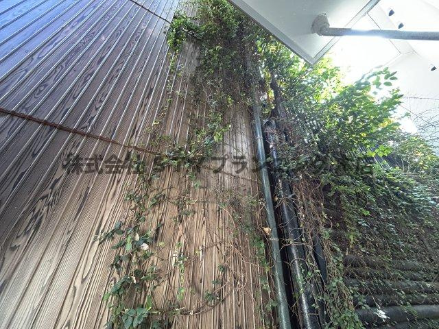 仲介手数料０円！エテルノの展望