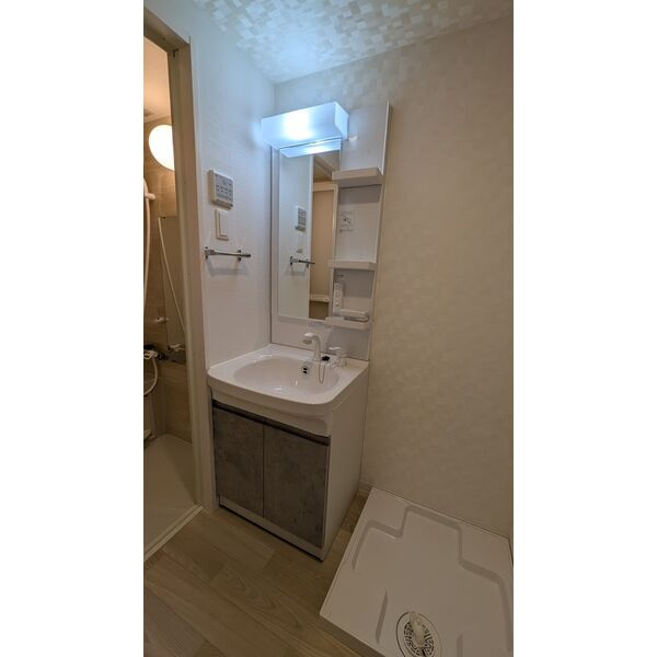 S-RESIDENCE堀田beauteの洗面所