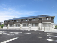 Bela　sunoの画像