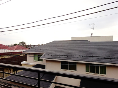 【展望】 | マリフ