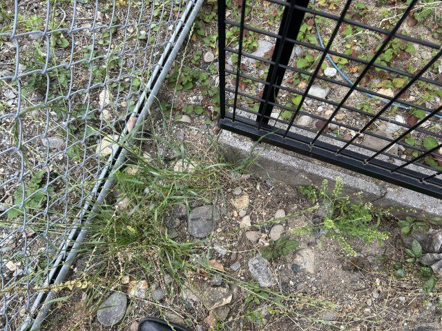 土地　学園町3丁目の周辺