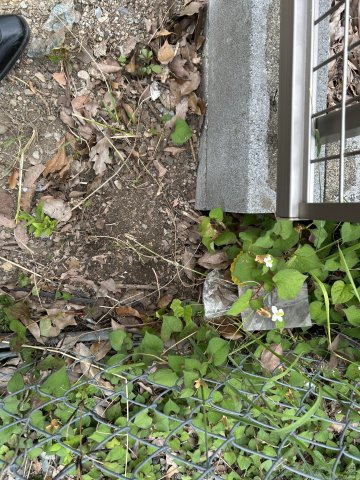 土地　学園町3丁目のその他