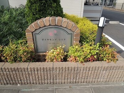 ダイヤモンド　リリナＢのその他