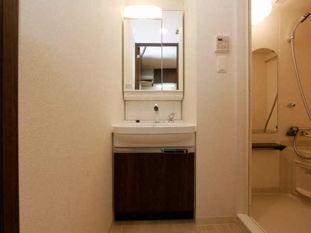 プレサンスOSAKA DOMECITYスクエアの洗面所