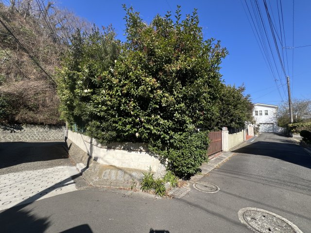 古都鎌倉の風情を感じる旧分譲地内の角地の戸建住宅の前面道路含む現地写真