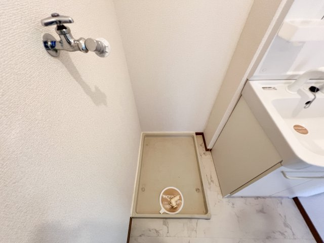 ドルフ東久万の洗面所