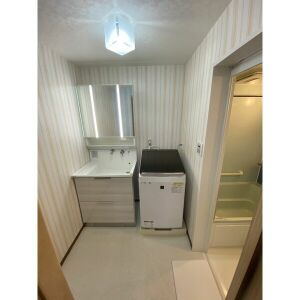 星和春日井コーポラスの洗面所