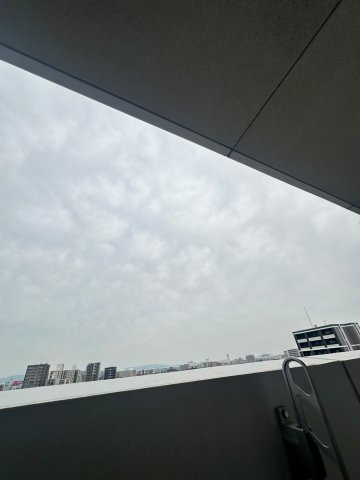 THYMEの展望