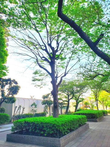 マンハイムグラン石切第一期のその他共用部分