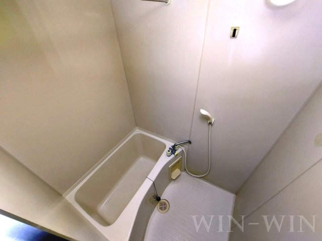 Surplus One栞の浴室