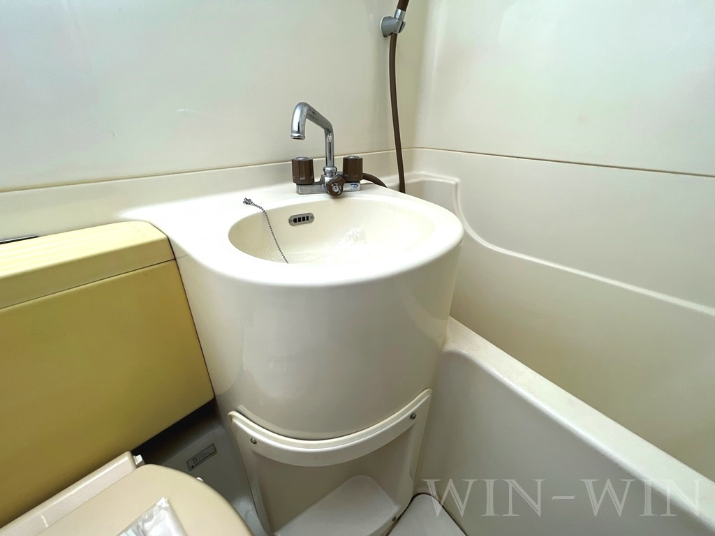 ビットハウスの洗面所