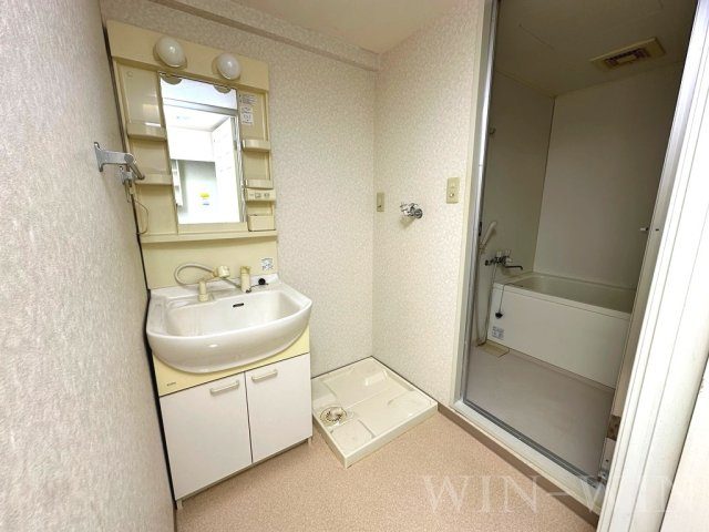 サンフレアの洗面所|イメージ（同建物内別部屋の写真です）