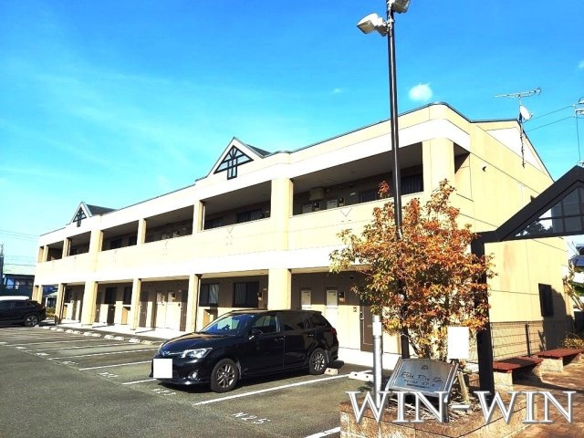 フィールドピア N