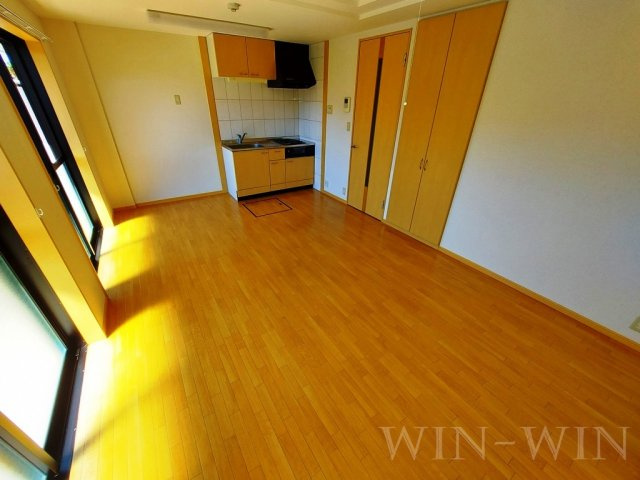 フィールドピア Nのその他