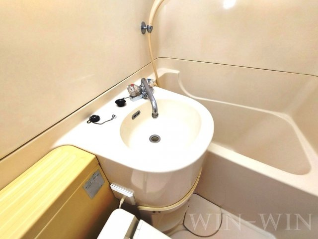 サンライフ堂坂 Aの洗面所