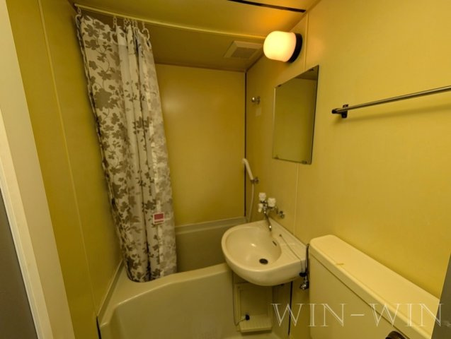 ユトリロ談合町の洗面所