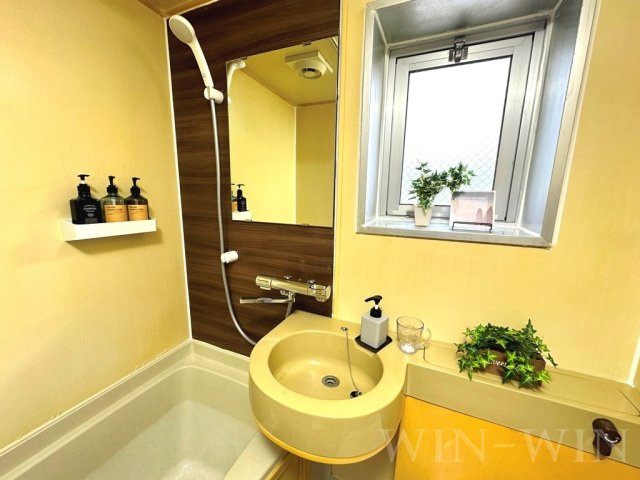 Blue Skyの洗面所|イメージ（同建物内別部屋の写真です）