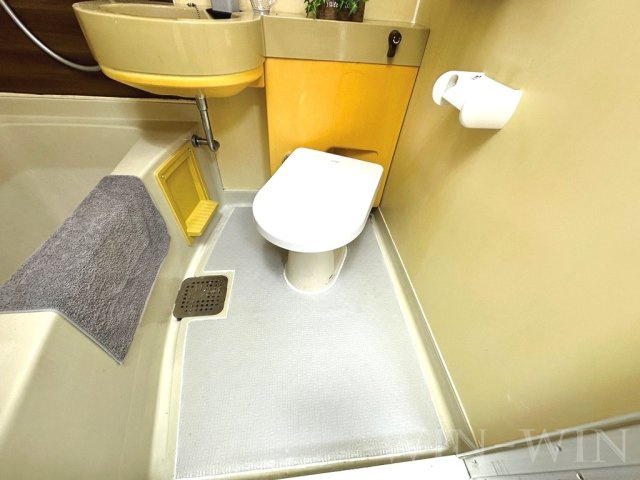 Blue Skyのトイレ|イメージ（同建物内別部屋の写真です）