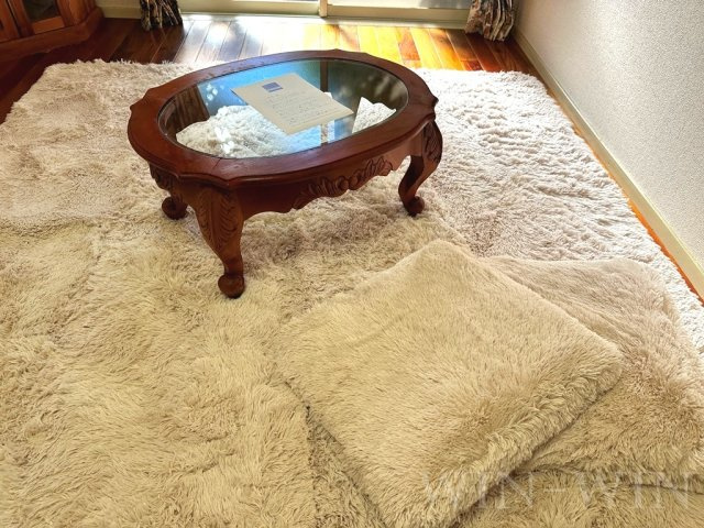 ユトリロ柱九番町のその他