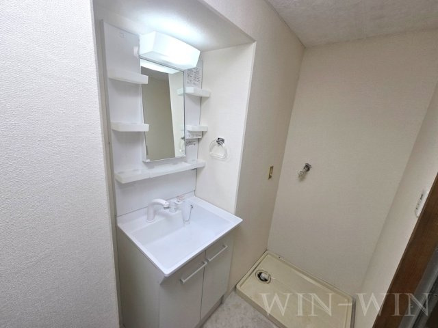 アメニティ飯野の洗面所