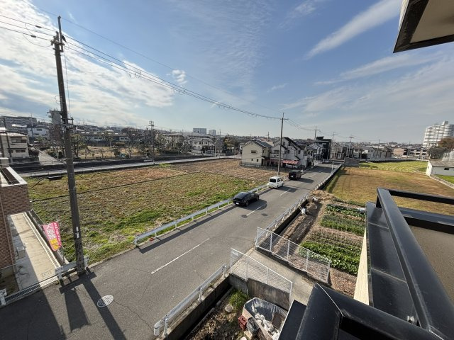 ウィスタリア藤の展望