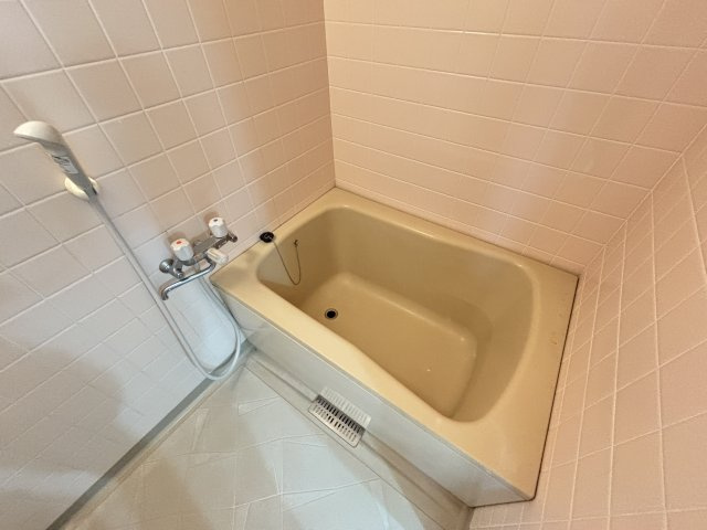 ウィスタリア藤の浴室