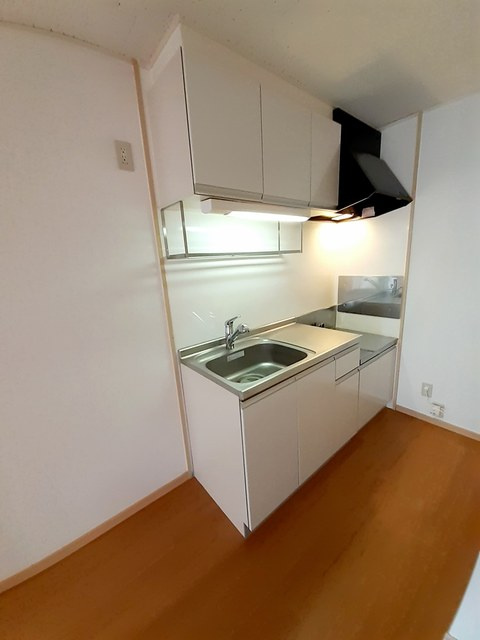 ホワイトルーム飯村 Dのキッチン