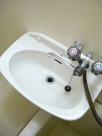 ホワイトルーム飯村 Dの洗面所