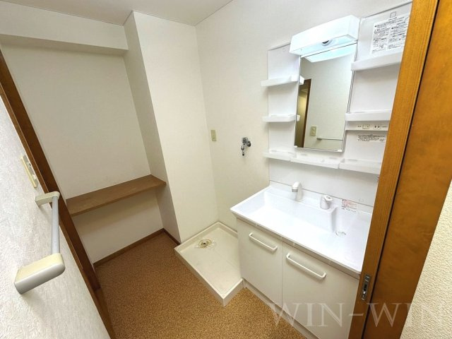 グランコート佐藤の洗面所