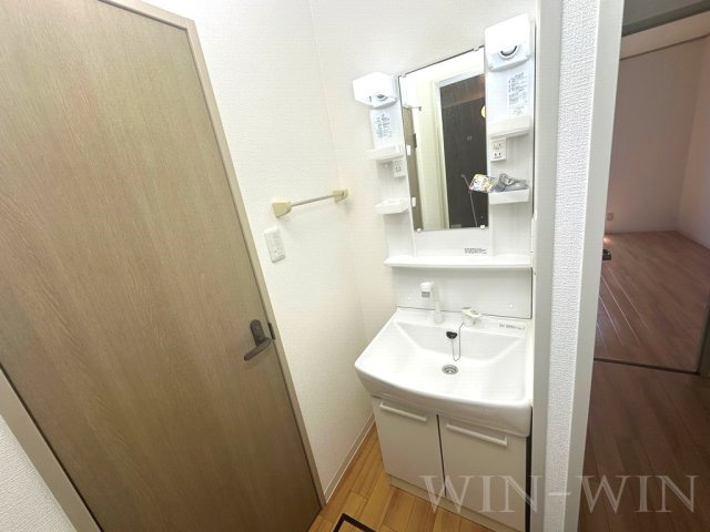 コーポポテトの独立洗面台