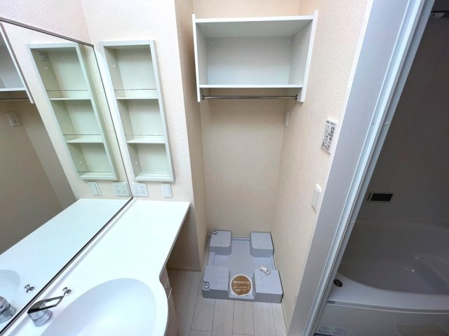 D-roomやまは C棟の洗面所