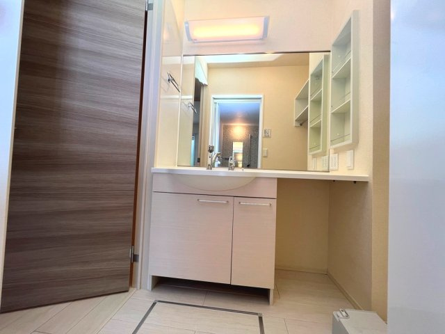 D-roomやまは C棟の洗面所