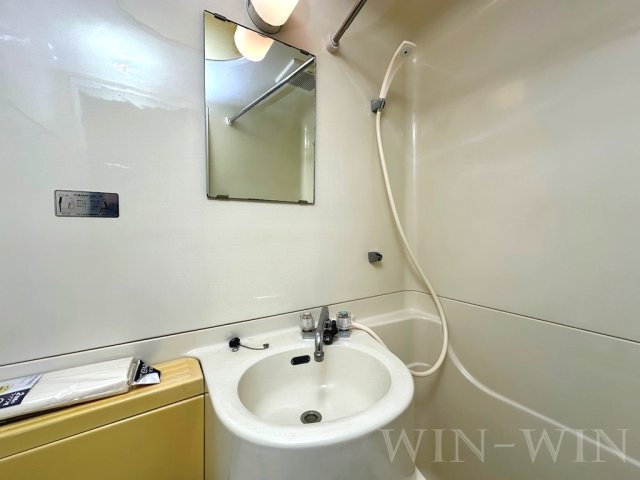 メッカ天伯の洗面所