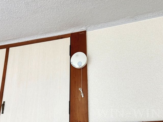 メッカ天伯のその他